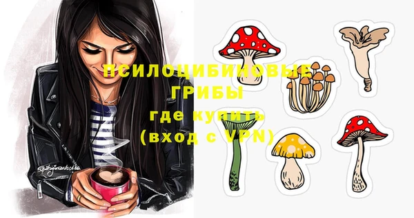 мяу мяу мука Аркадак