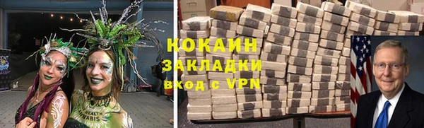мяу мяу мука Аркадак